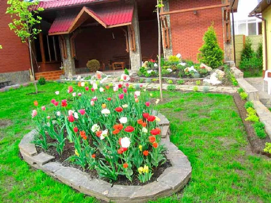 Дизайн подвір’я в селі: які ідеї зручні?