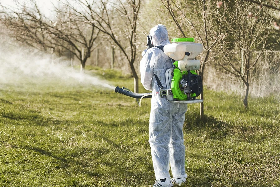 Чому і чим обприскувати сад у листопаді?